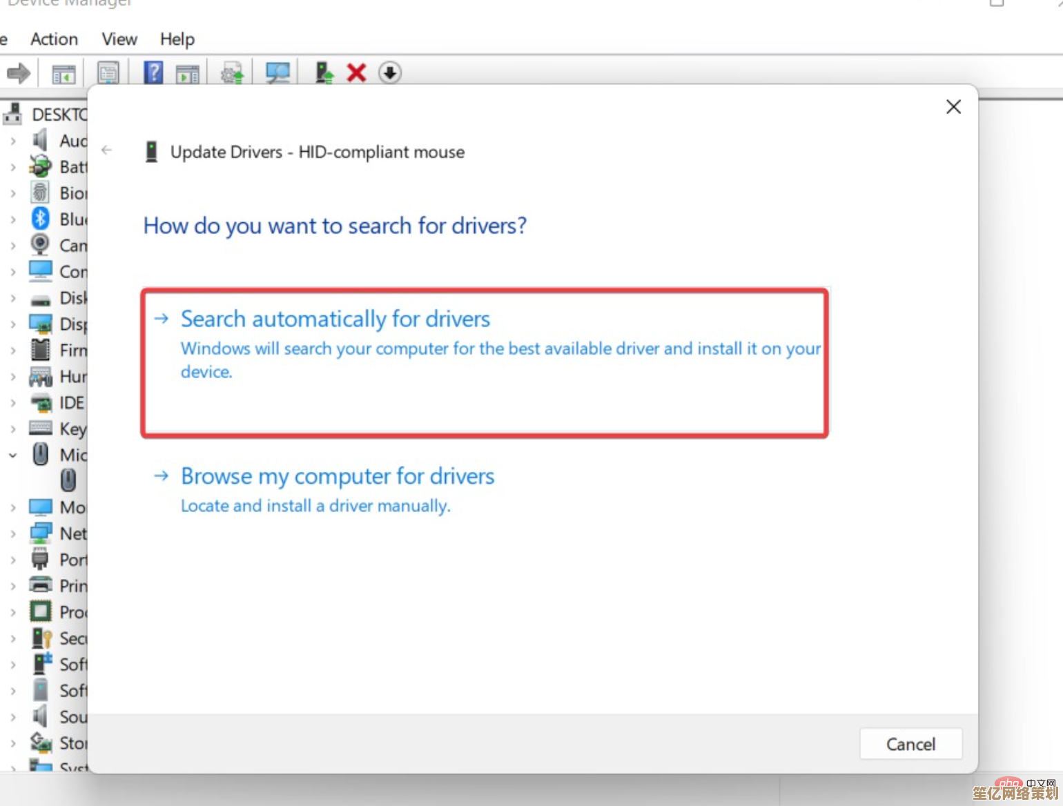 最新Windows 11软件兼容合集：为您精选完美运行的高效应用与系统工具