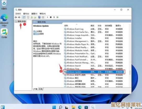 Windows 11运行战国兰斯兼容性问题解析与解决方案