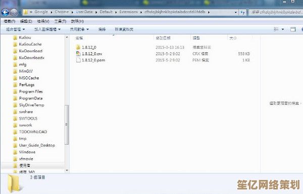 深度解析360极速浏览器：优化策略与专业使用技巧分享