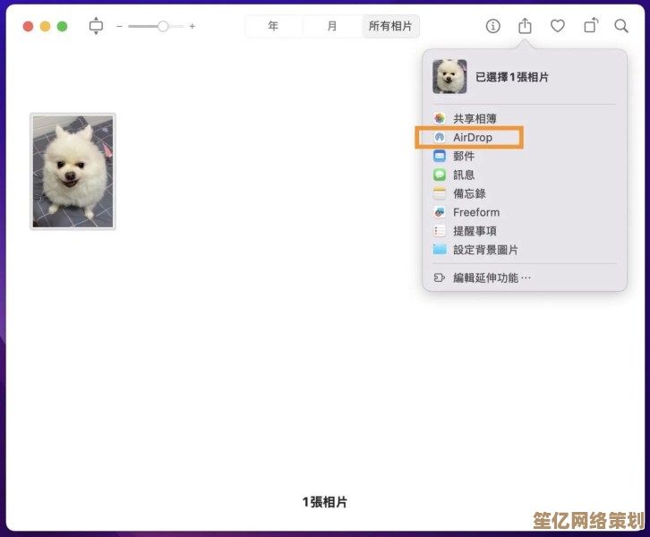 快速掌握iPhone照片传输技巧，电脑端便捷整理美好回忆瞬间