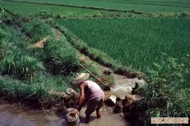跟着小鱼学习iPad连接电视方法，家庭影院轻松搭建