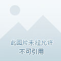 走进QQ农场的奇妙世界，构建独一无二的梦幻农场，享受田园乐趣！