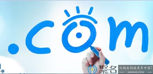 新手必看：全面解析域名申请方法与实用技巧