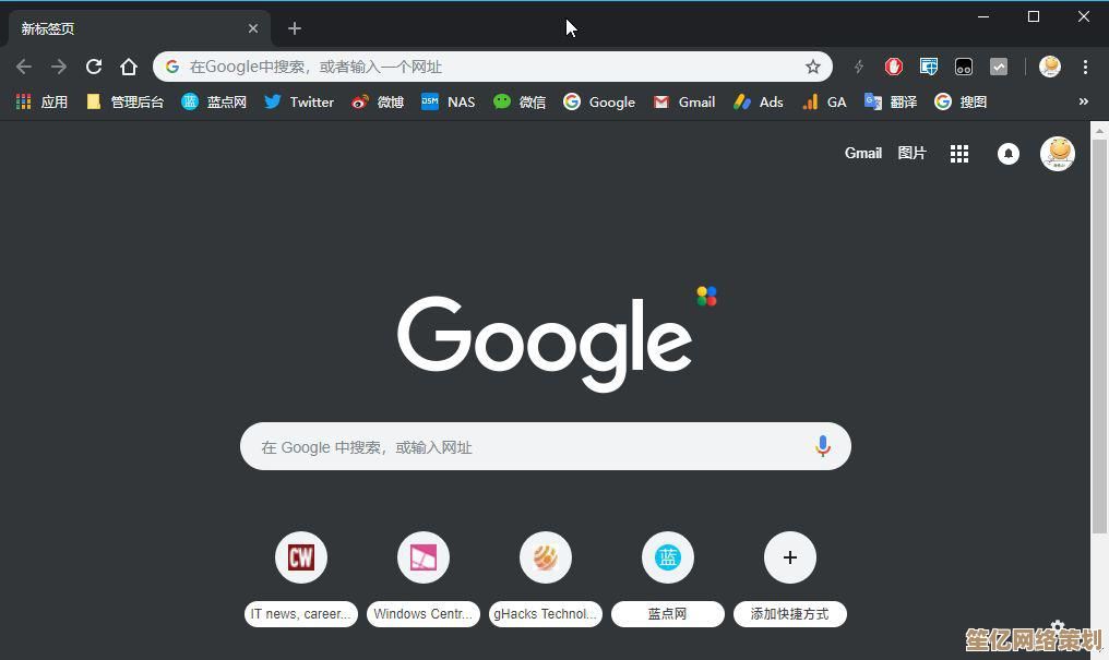 获取最新版Google浏览器，安全高速下载体验