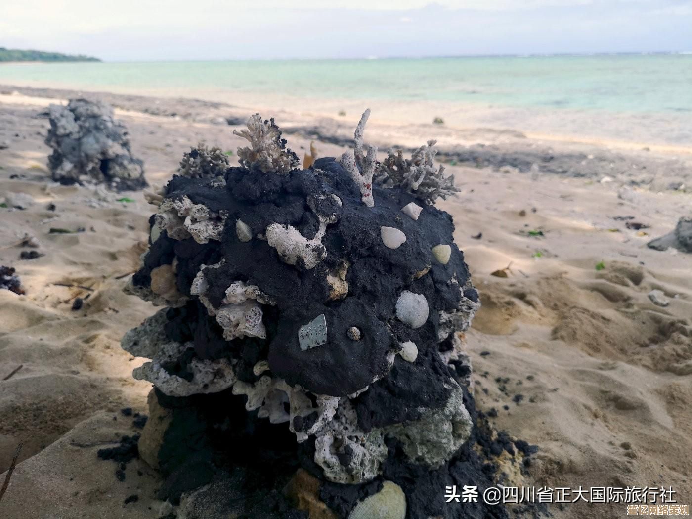 小鱼教您快速处理网站安全证书问题的实用技巧