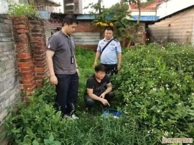 全面解析Windows 11虚拟平台运行异常的修复方法与操作步骤