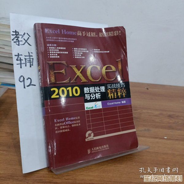Excel 2010专业技巧全攻略：实际应用与案例详解