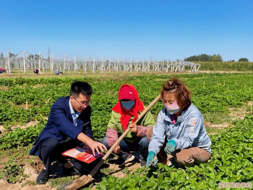 山东农信：携手农户共筑美好家园，持续赋能乡村振兴新动能