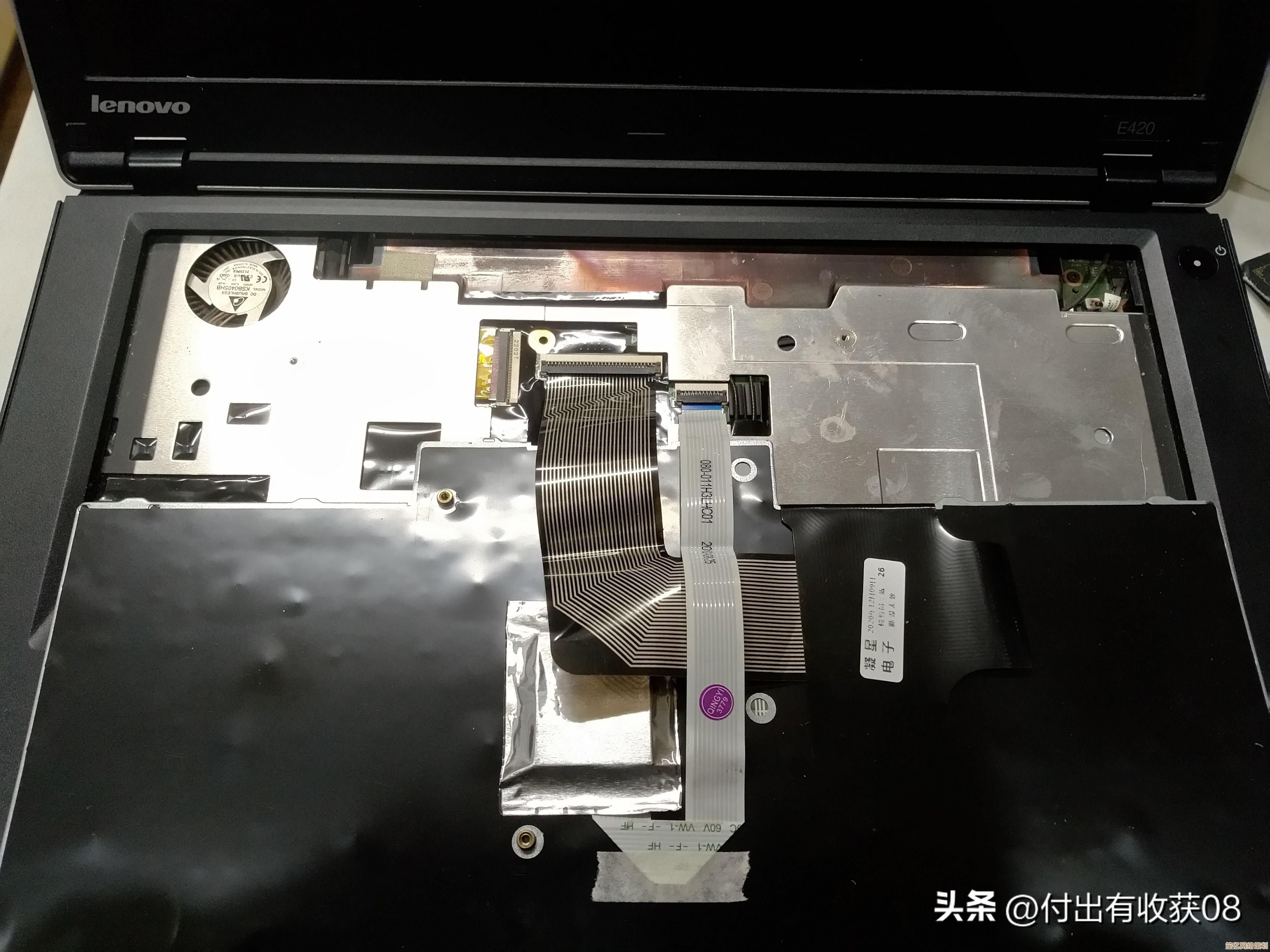 Windows 11键盘失灵问题排查：文字无法输入的解决思路