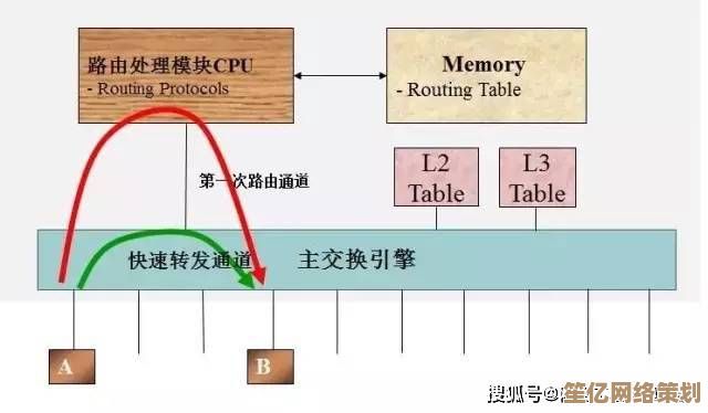 探索路由器与交换机：从原理到实战，全面解析网络互联技术