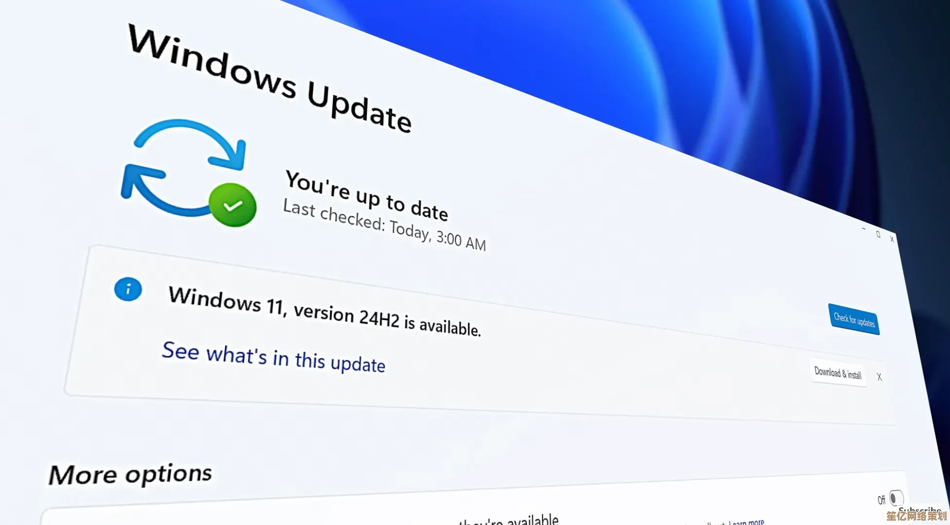 Windows 11 补丁下载安装指南：确保系统安全与性能优化