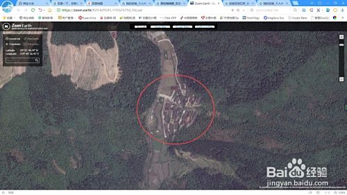 如何高效下载谷歌地图最新版本：详细步骤与实用技巧分享