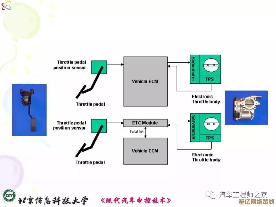 系统管理员：确保网络安全稳定并驱动系统高效运行的中坚角色