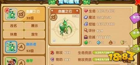 沉浸体验创造与魔法红太狼传奇资质，2025年魔法大陆探索升级