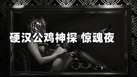 2025神探诡事录领悟丹智能收集指南：突破效率瓶颈，核心升级秘籍大公开