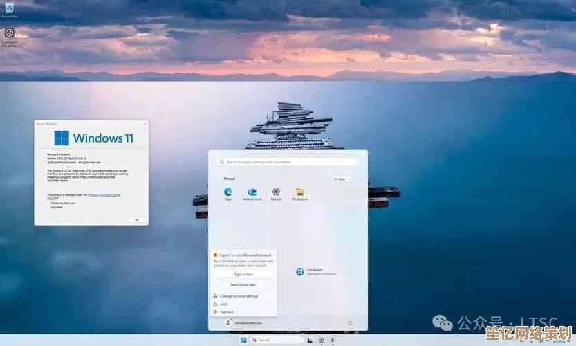 Win11安装遇难题？坚守初心者的解决之道在此！