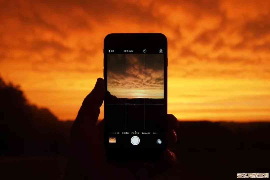 探索Snapseed的强大功能，带您的摄影作品飞跃至全新高度！