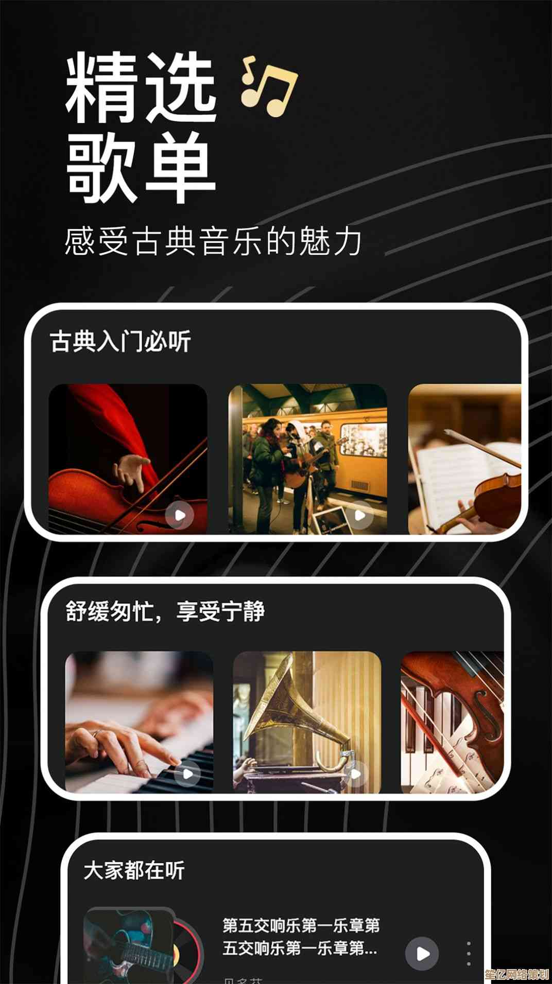 沉浸纯净音质世界，高品质无损音乐下载带来极致听觉盛宴