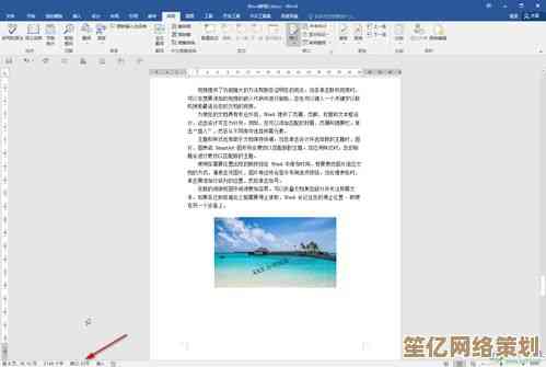 详细教程：小鱼带您快速上手Word格式刷功能