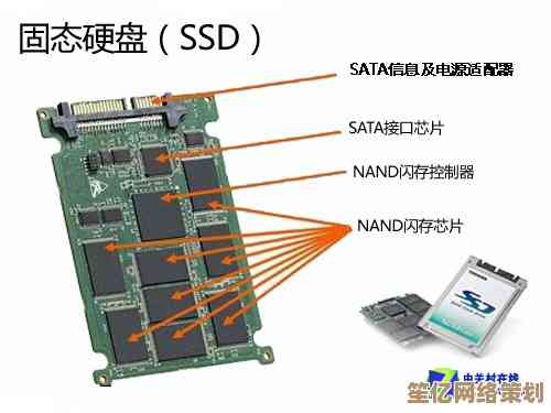 跟随小鱼掌握固态硬盘核心知识，优选品牌与购买指南全解析