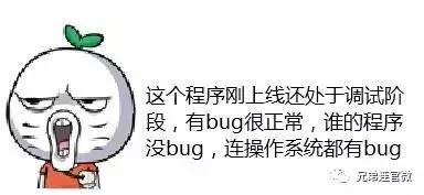 揭秘程序错误：Bug的全面定义及其在开发中的重要性