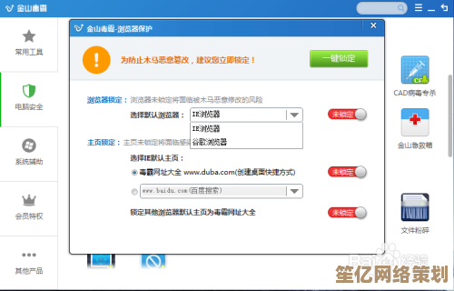 探索金山浏览器：高效与便捷并存的网络冲浪新选择