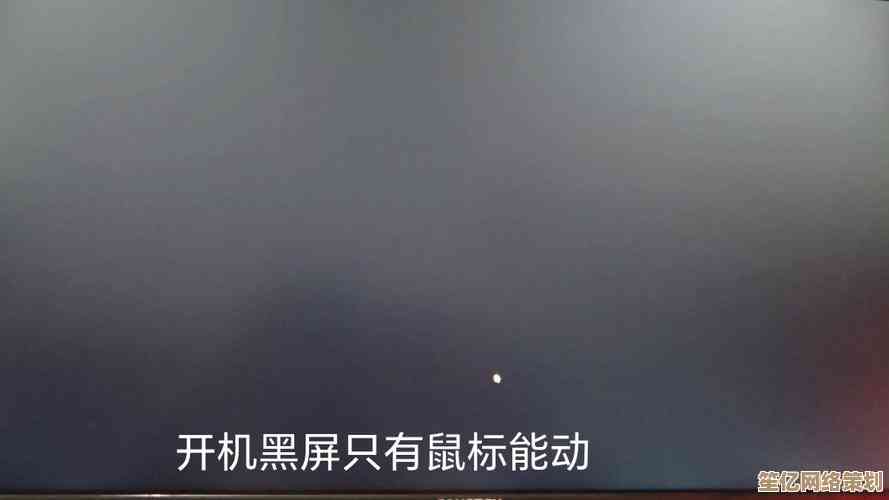 电脑开机黑屏但鼠标可动？详细步骤助你解决显示异常问题