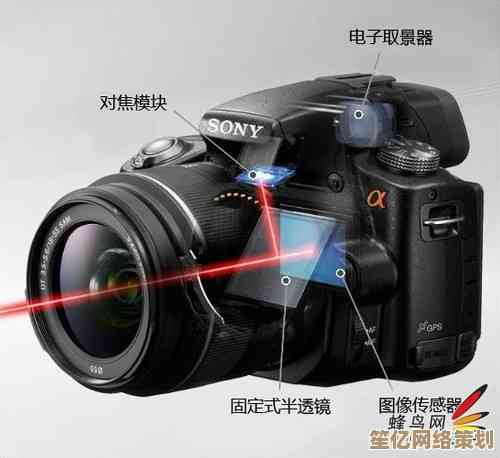 单反相机工作原理全解析，掌握专业拍摄技巧与使用秘诀