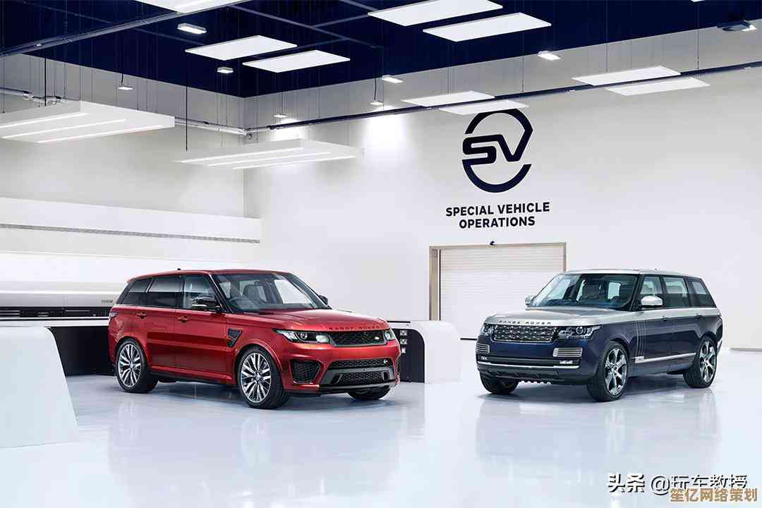 SV含义大揭秘：从基础定义到多样化用途的详细解读