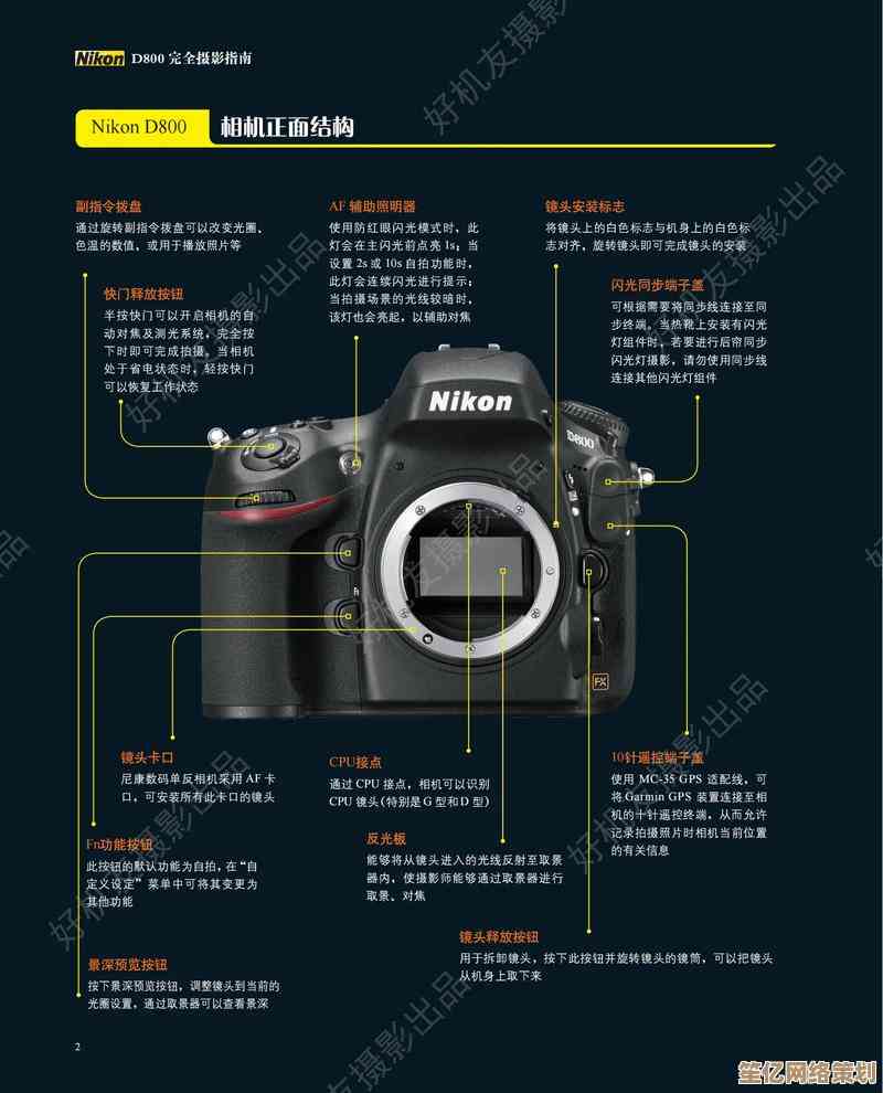 尼康相机高清天梯图：卓越画质，细节尽显，摄影新境界