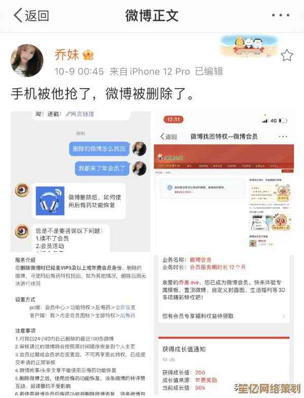 探索微博会员的实用功能：从专属装扮到优先客服的全面指南！