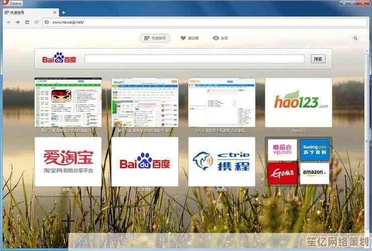探索高效网络体验：电脑浏览器实用功能全面解析