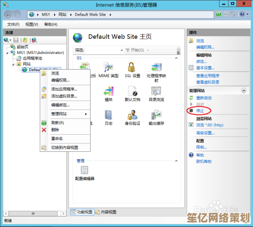 小鱼详解DHCP服务器搭建与配置全流程