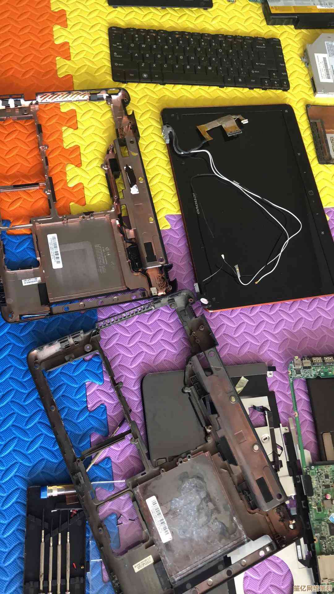如何为联想Y460安装网卡驱动？小鱼分享实用技巧让您无线畅通无阻