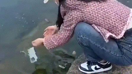 怀旧斗地主单机游戏：智能发牌随机匹配，离线娱乐消遣必备