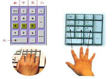 小鱼教您应对笔记本键盘字母变数字的实用修复方法