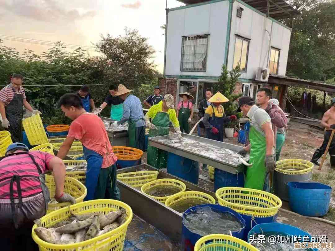 快速识别电脑位数，小鱼教您掌握32位与64位的查看方法