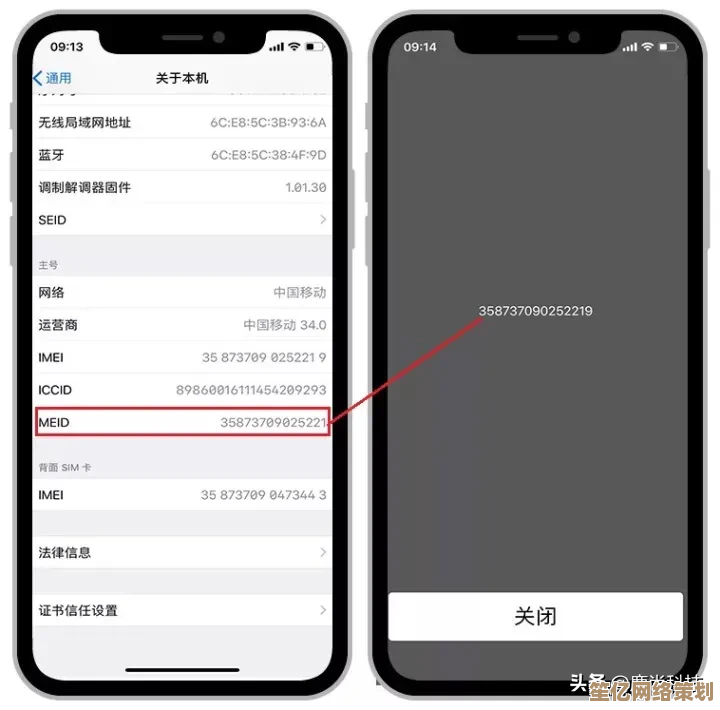实用指南：快速辨别不同手机型号的关键特征与方法