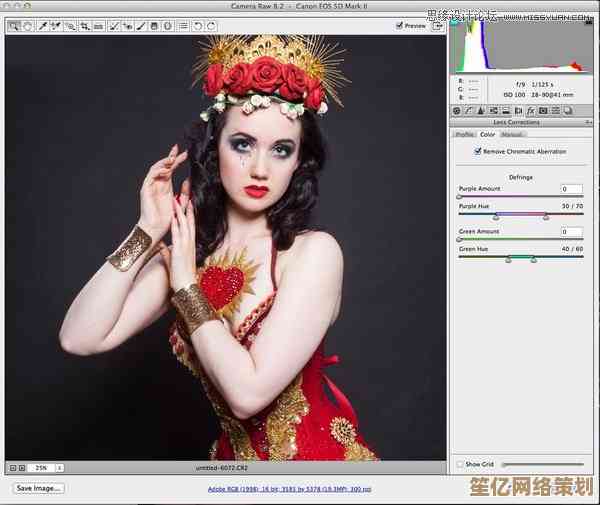 探索Photoshop反选奥秘：提升照片质感，轻松实现专业级视觉效果