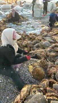 小鱼教您轻松掌握电脑机箱风扇安装技巧