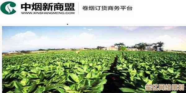 探索新商盟平台在烟草订货中的流程创新与操作技巧