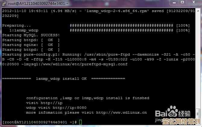 全面解读VPS虚拟专用服务器：功能、优势与适用领域深度剖析