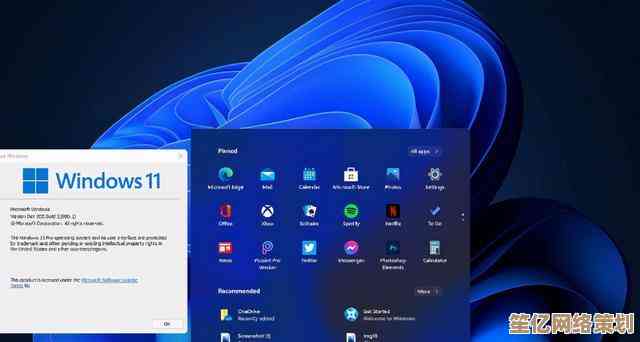 Windows 11微软账户登录异常？多种实用解决方案汇总