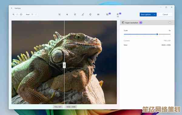 如何在Windows 11中高效打印照片：从选择设备到色彩调整完整指南