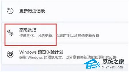 Win11兼容显卡精选：确保您的新一代操作系统获得完美图形支持