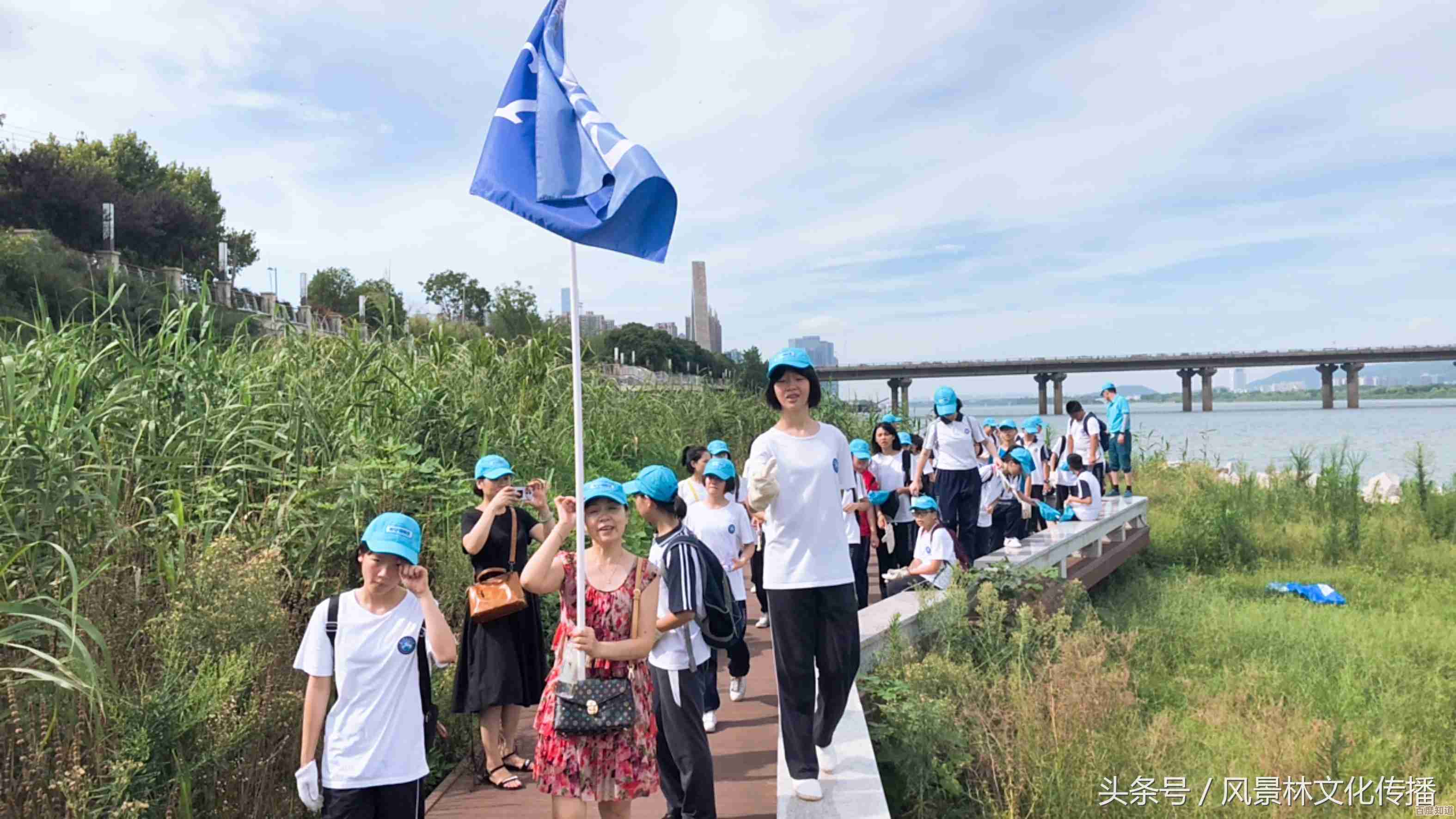 释放C盘宝贵空间：详细步骤助您彻底清理系统垃圾