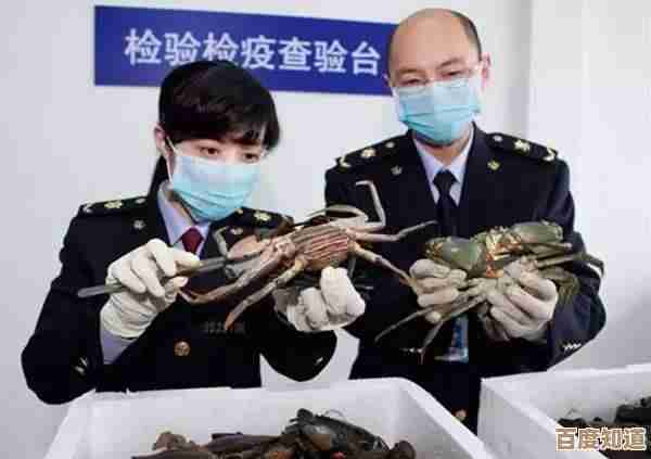 探索晋江文学城手机版：解锁高效阅读与个性化功能的实用技巧