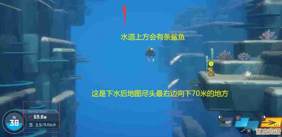 潜水员戴夫里安装型触发器捕鱼网使用方法零碎笔记，别太较真