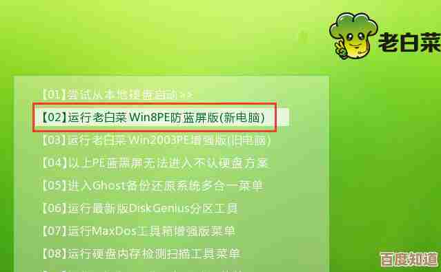 大白菜PE装机工具详细操作指南与步骤解析
