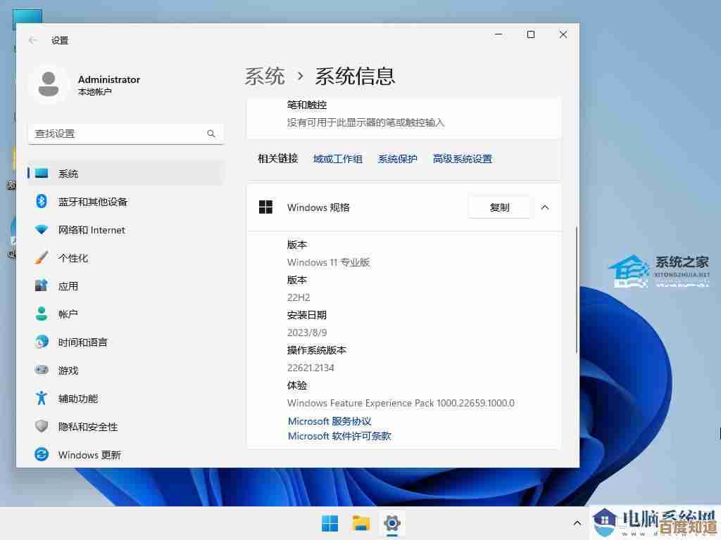 Win11升级必备：从安装到系统设置的完整操作指南